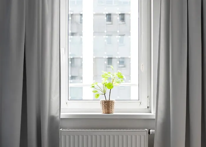 Oomph Downtown Atmospheric Zelazna Street *